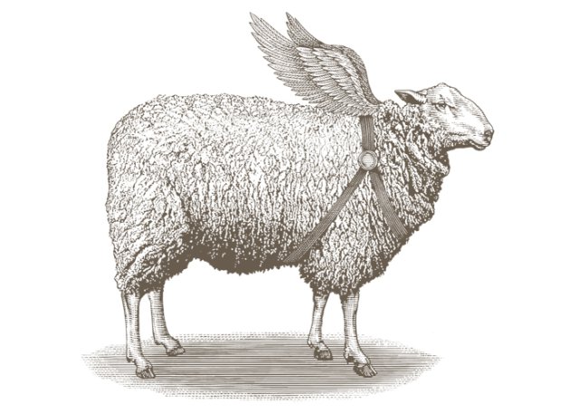 Sheep art 2